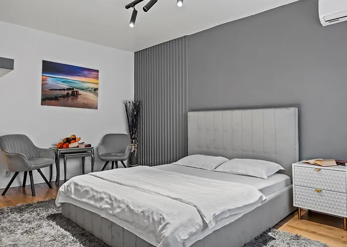 Апартаменты Garsoniera Regim Hotelier Lux Hanul Drumetului