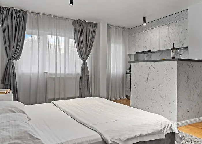 公寓 Garsoniera Regim Hotelier Lux Hanul Drumetului 布加勒斯特