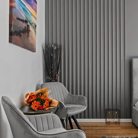 Garsoniera Regim Hotelier Lux Hanul Drumetului *