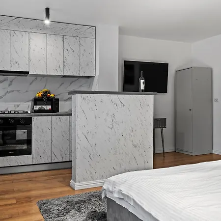 Garsoniera Regim Hotelier Lux Hanul Drumetului شقة *