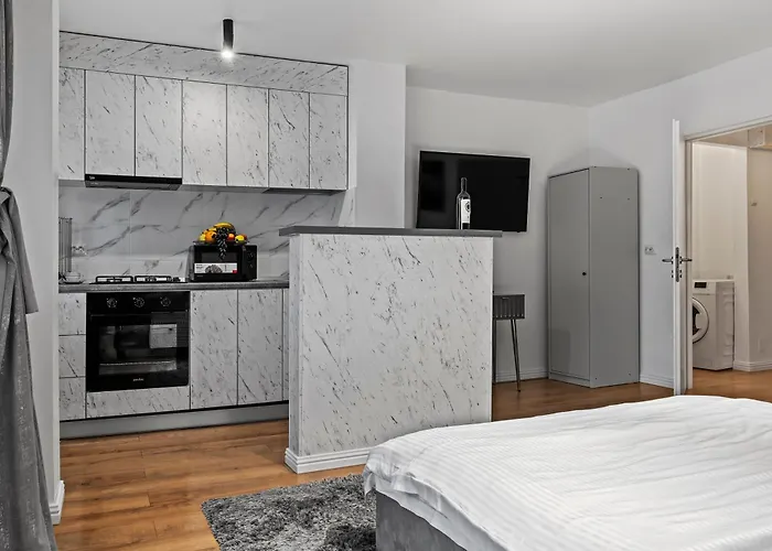 Garsoniera Regim Hotelier Lux Hanul Drumetului شقة *