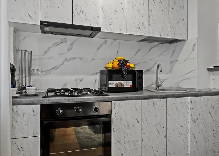 Garsoniera Regim Hotelier Lux Hanul Drumetului *